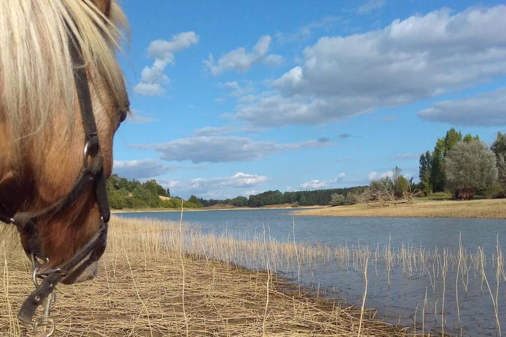Gite En Pleine Nature Proche Du Lac De La Gimone Saint-Blancard Bagian luar foto