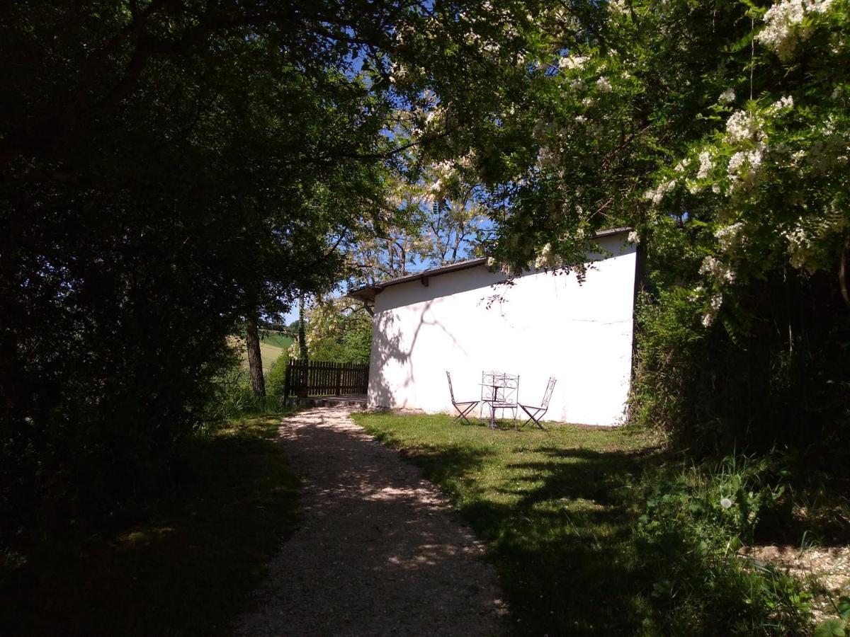 Gite En Pleine Nature Proche Du Lac De La Gimone Saint-Blancard Bagian luar foto
